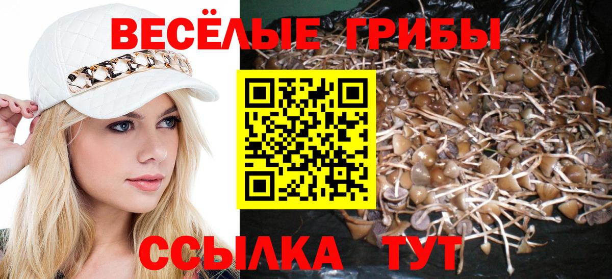 Саров  Галлюциногенные грибы Magic Shrooms  Вход с VPN 